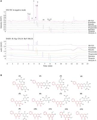 The New Application of UHPLC-DAD-TOF/MS in Identification of Inhibitors on β-Amyloid Fibrillation From Scutellaria baicalensis